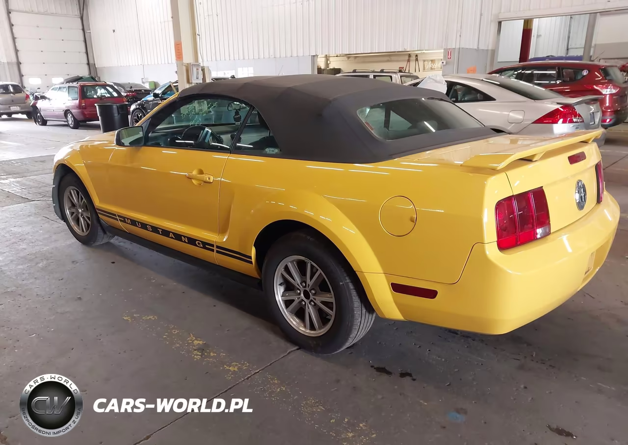 2005 Ford Mustang VIN:1ZVFT84N055248505 - 3