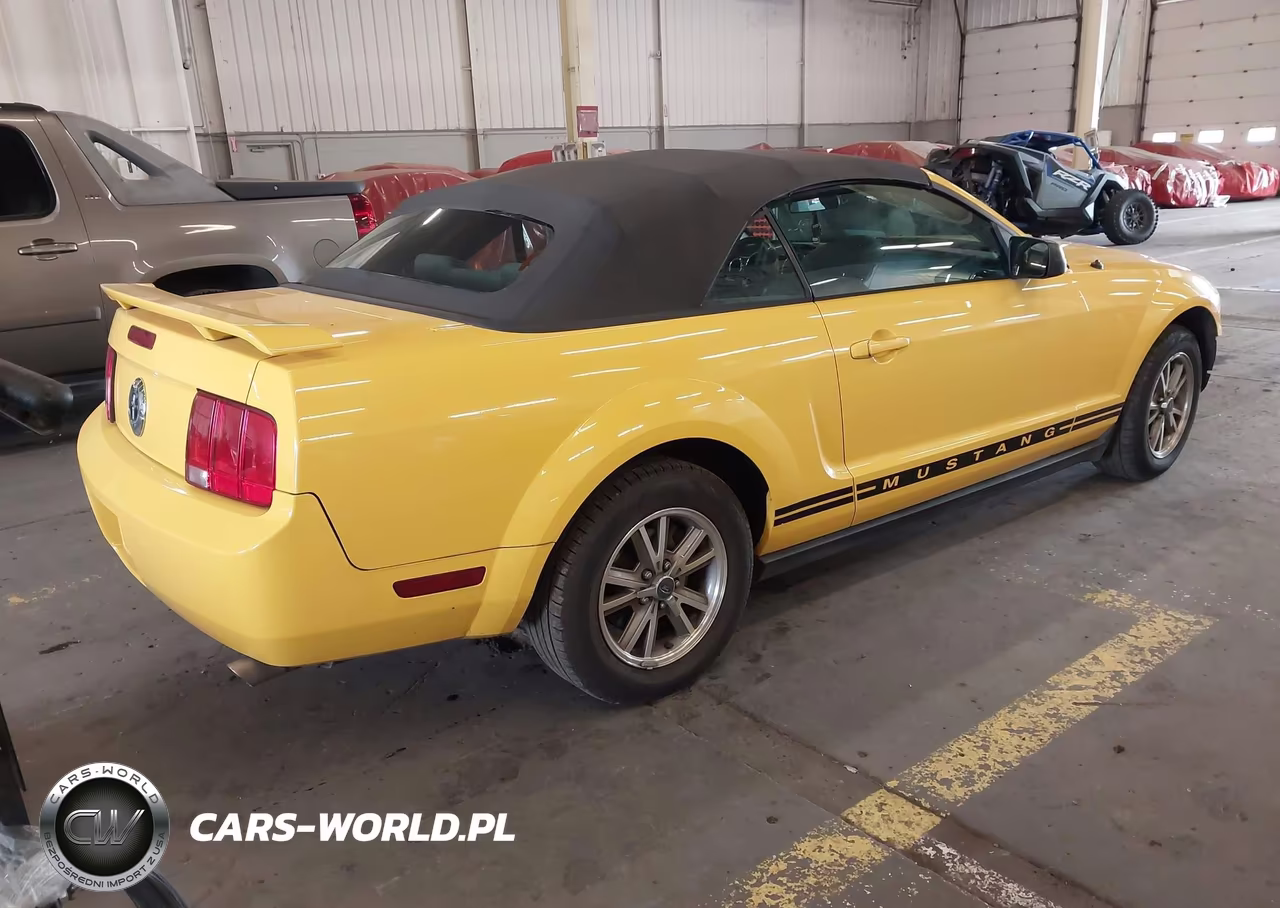 2005 Ford Mustang VIN:1ZVFT84N055248505 - 4