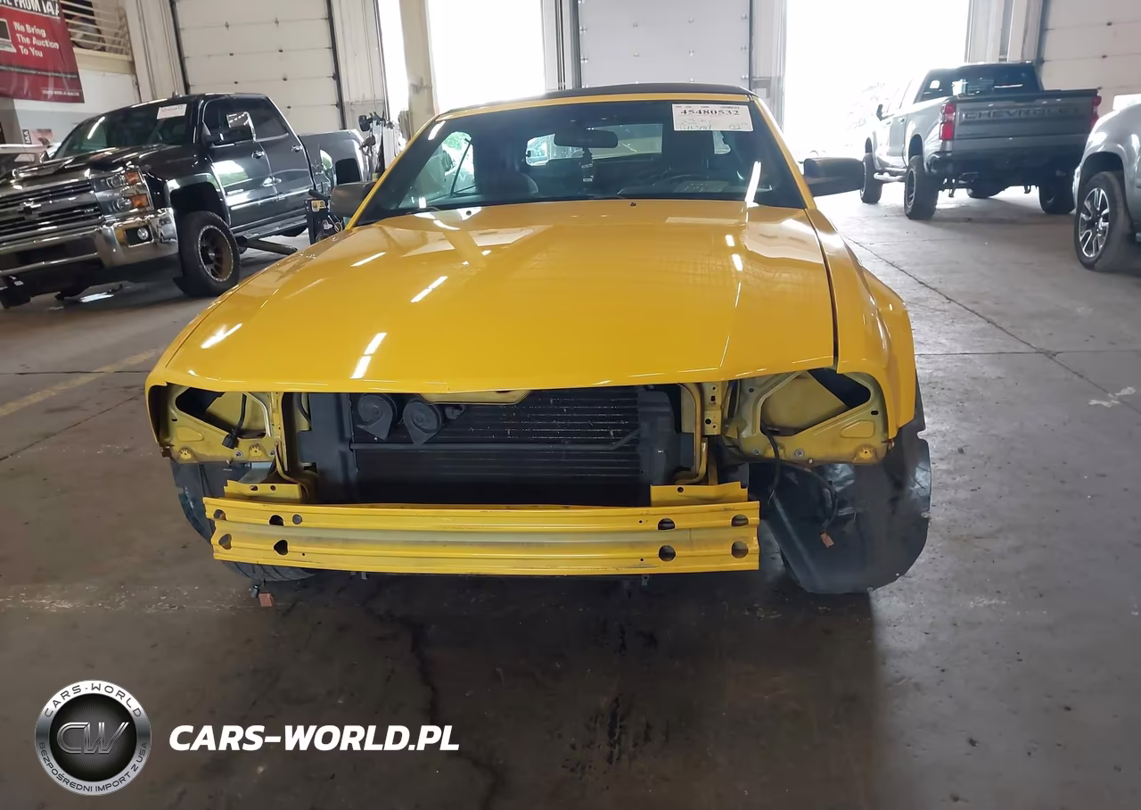 2005 Ford Mustang VIN:1ZVFT84N055248505 - 6