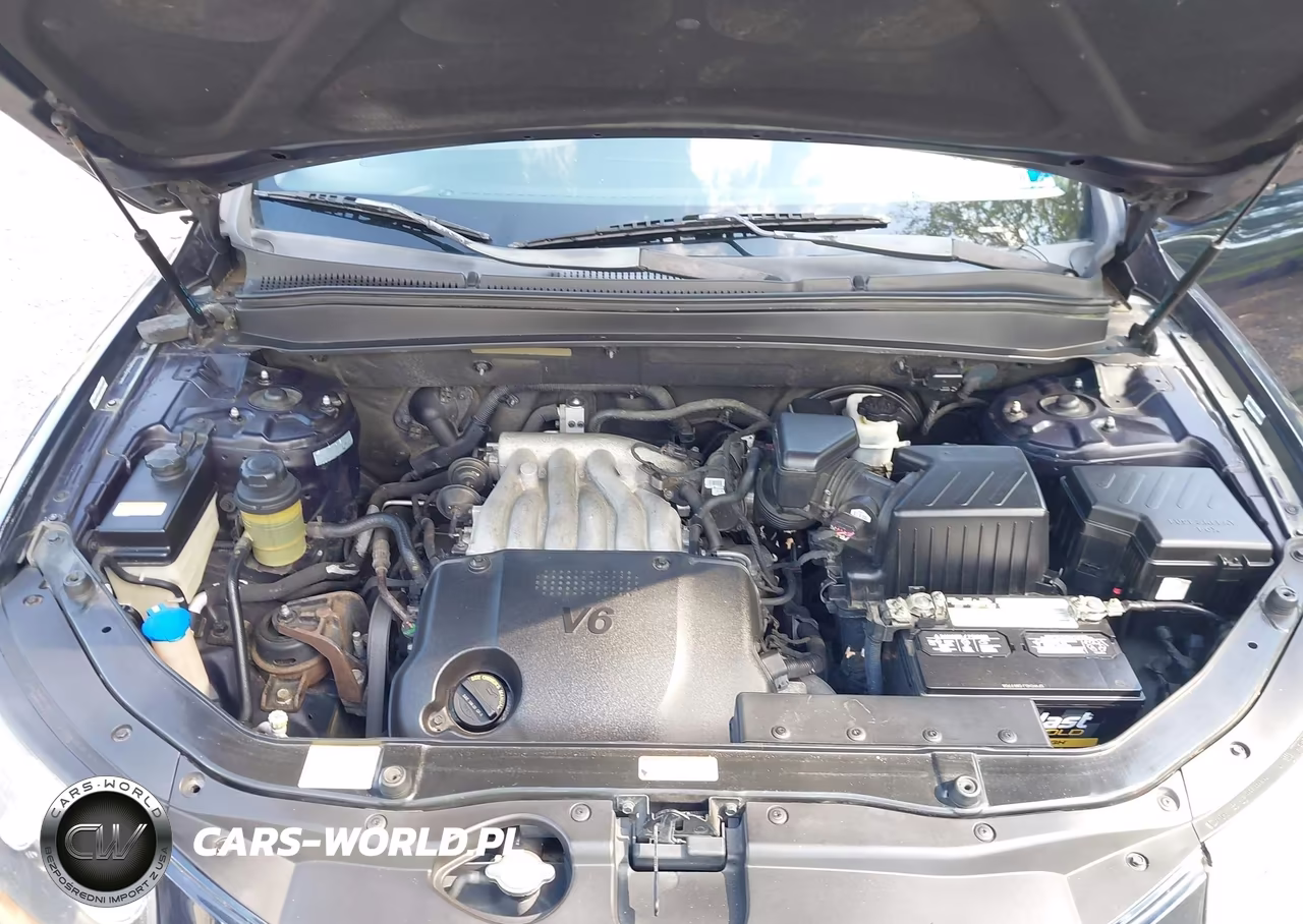 2009 Hyundai Santa Fe Gls VIN:5NMSG13D19H251390 - 10