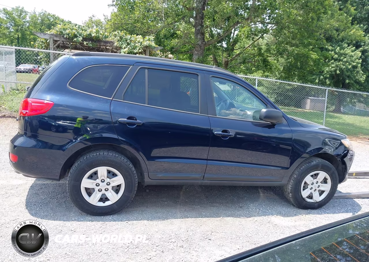 2009 Hyundai Santa Fe Gls VIN:5NMSG13D19H251390 - 13
