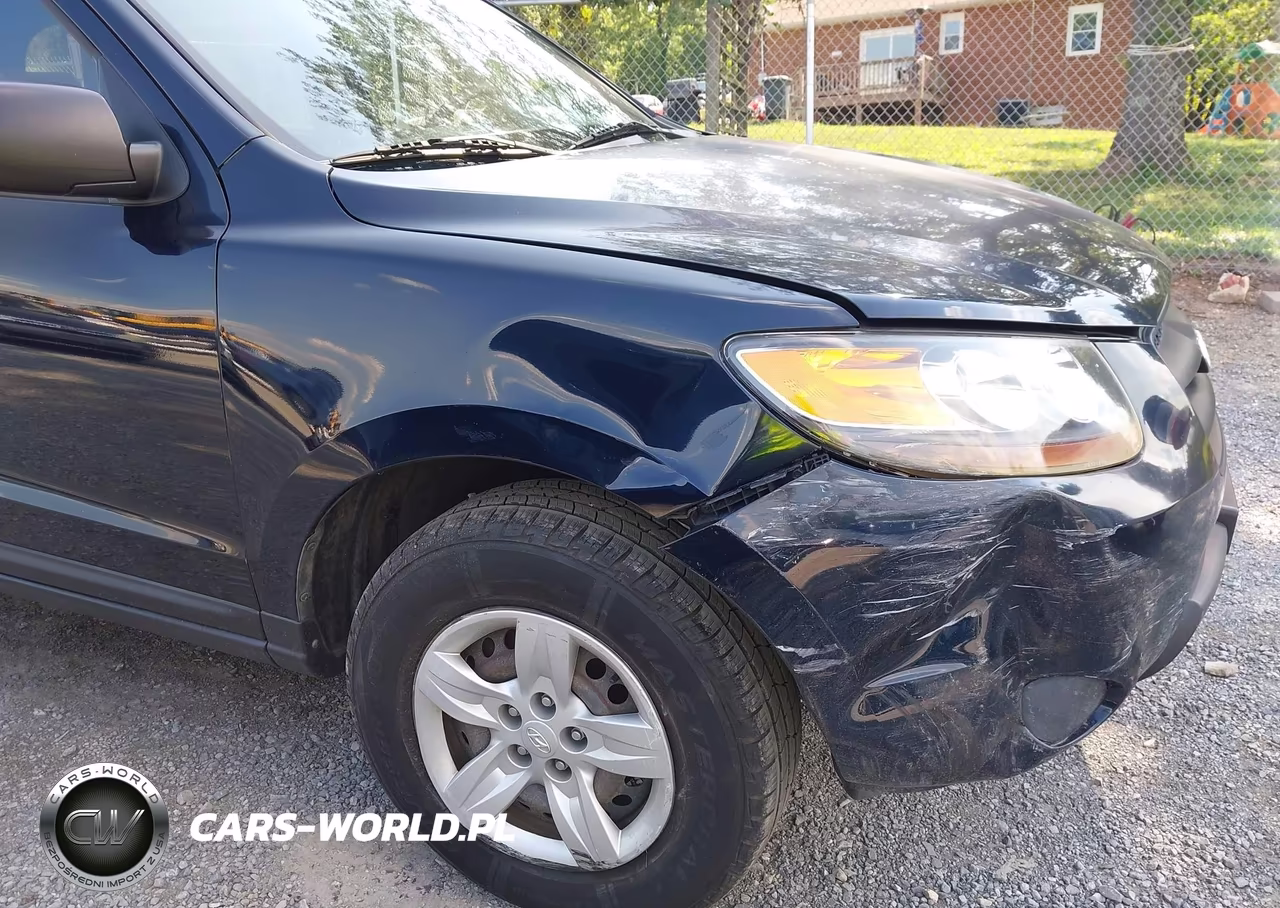 2009 Hyundai Santa Fe Gls VIN:5NMSG13D19H251390 - 17