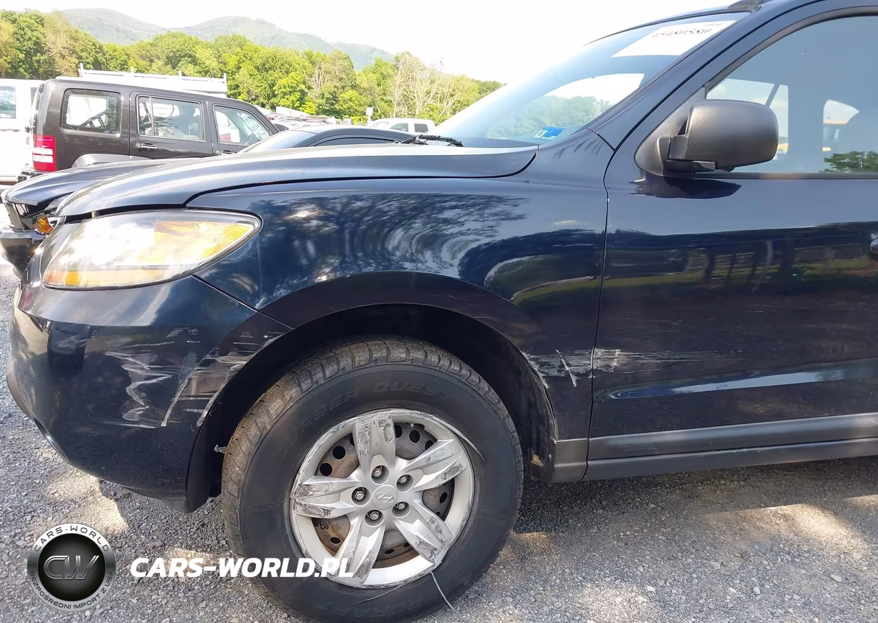 2009 Hyundai Santa Fe Gls VIN:5NMSG13D19H251390 - 18