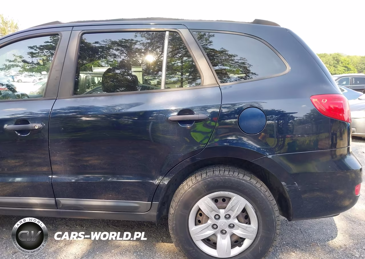 2009 Hyundai Santa Fe Gls VIN:5NMSG13D19H251390 - 19
