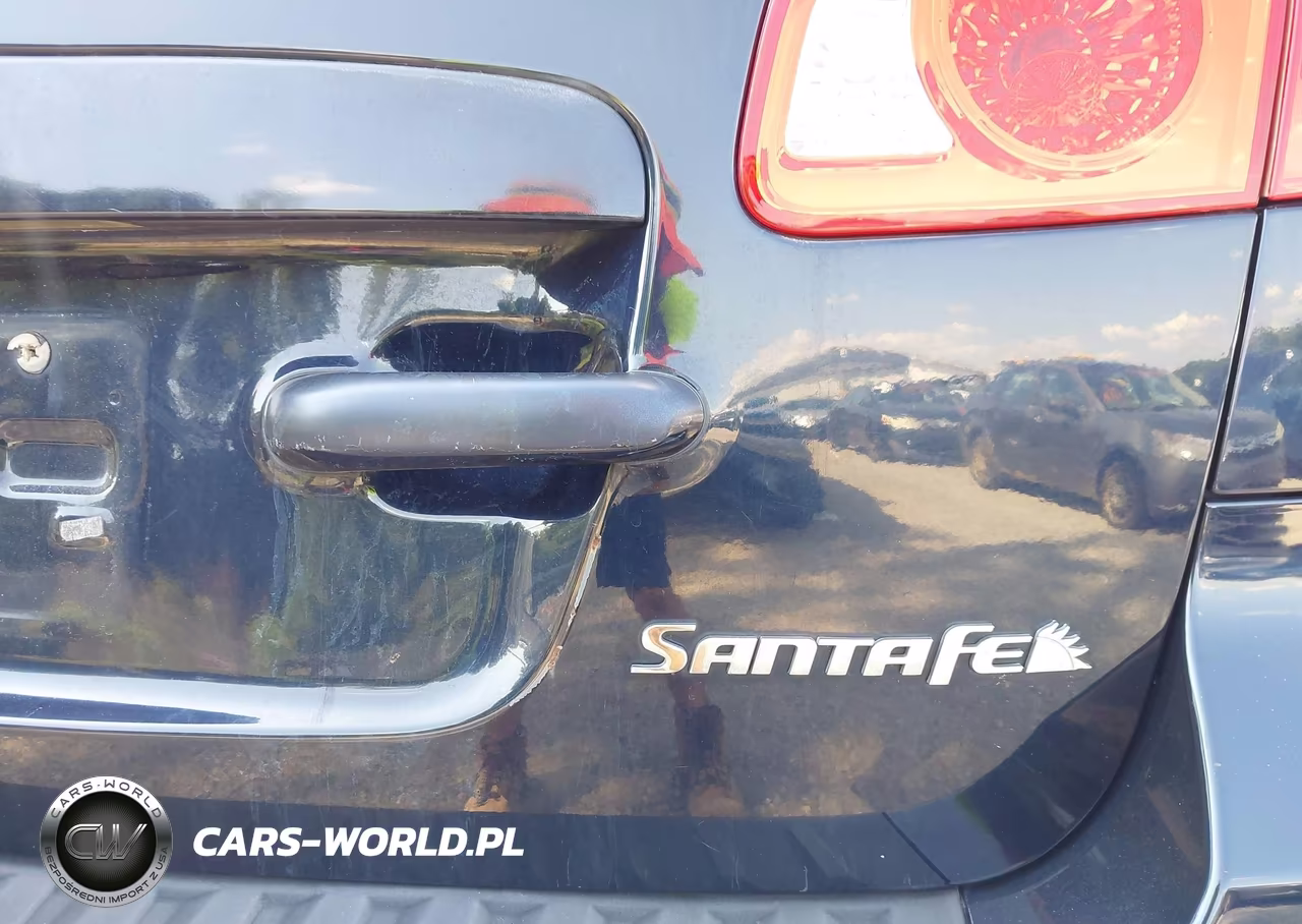 2009 Hyundai Santa Fe Gls VIN:5NMSG13D19H251390 - 20