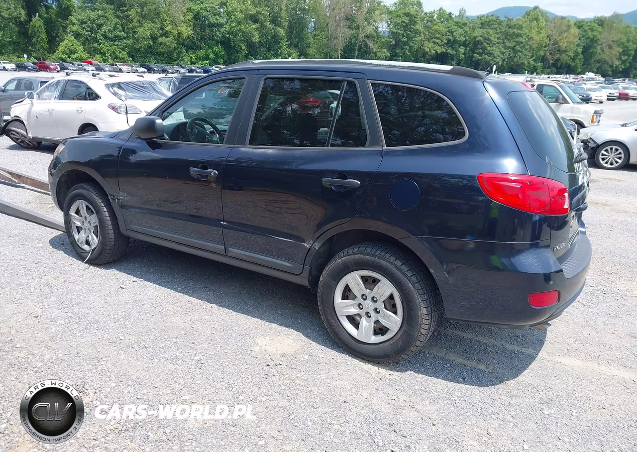 2009 Hyundai Santa Fe Gls VIN:5NMSG13D19H251390 - 3