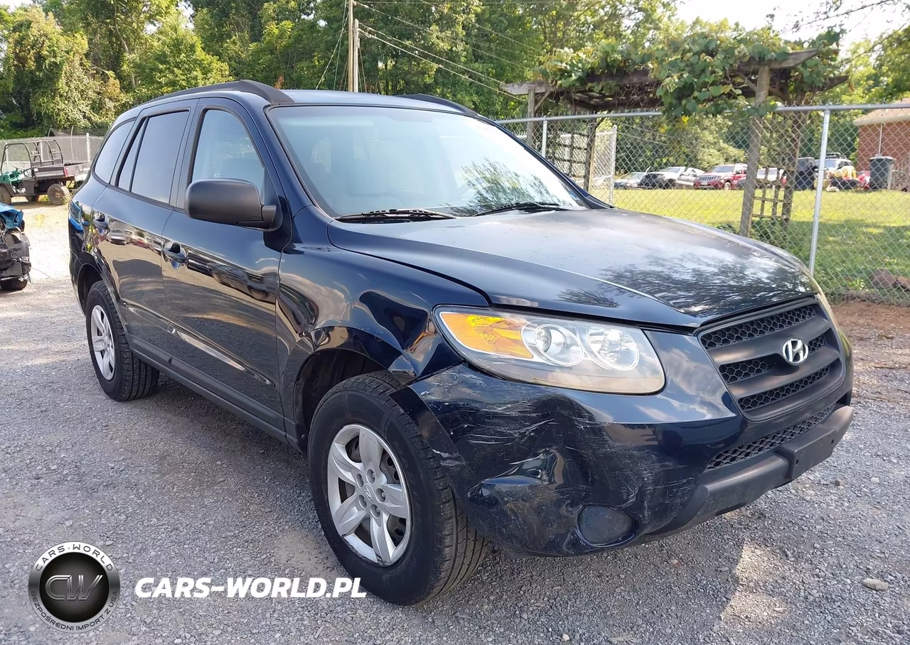 2009 Hyundai Santa Fe Gls VIN:5NMSG13D19H251390 - 6