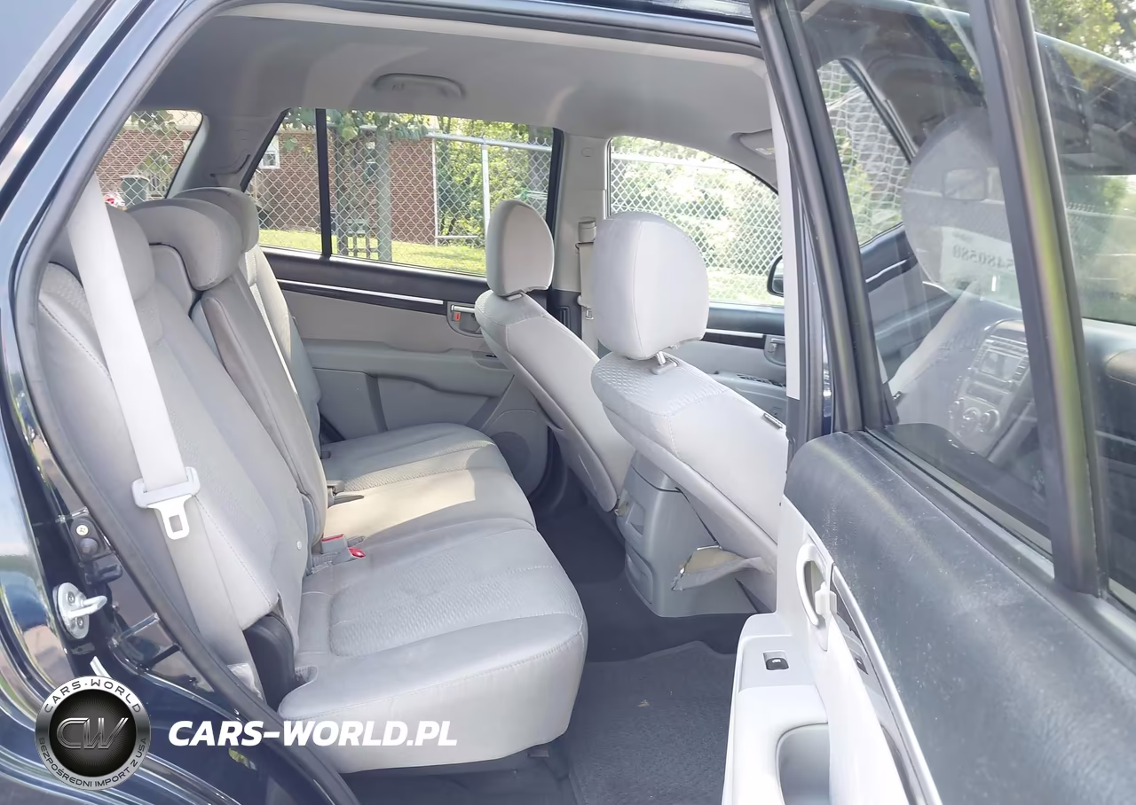 2009 Hyundai Santa Fe Gls VIN:5NMSG13D19H251390 - 8