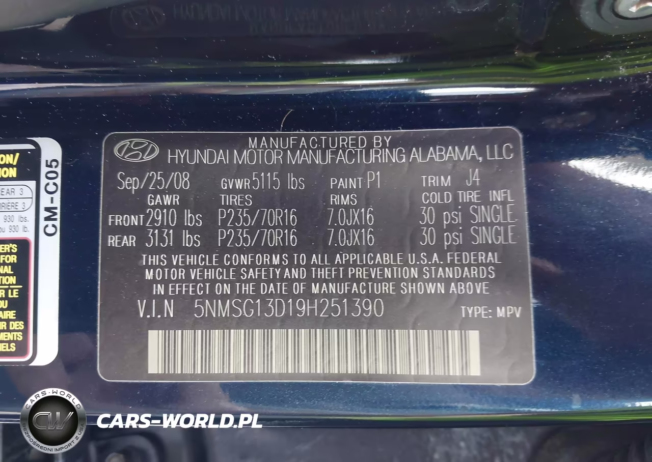 2009 Hyundai Santa Fe Gls VIN:5NMSG13D19H251390 - 9