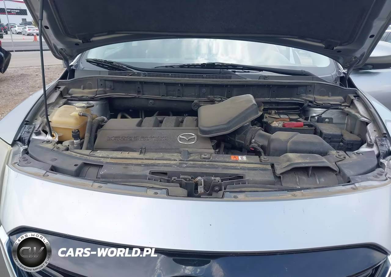 2013 Mazda Cx-9 Touring VIN:JM3TB2CA6D0408314 - 10
