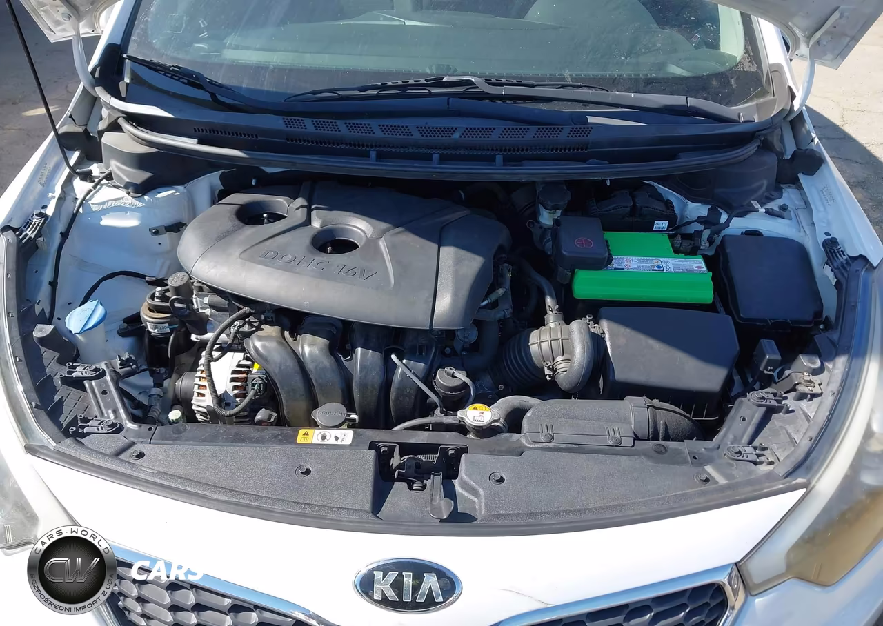 2015 Kia Forte Lx VIN:KNAFX4A68F5399894 - 10