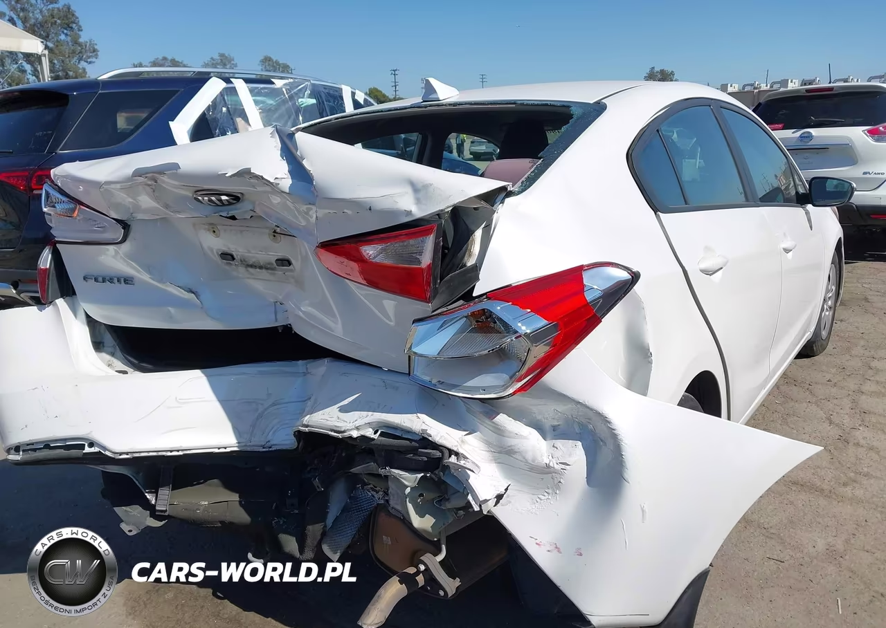2015 Kia Forte Lx VIN:KNAFX4A68F5399894 - 6