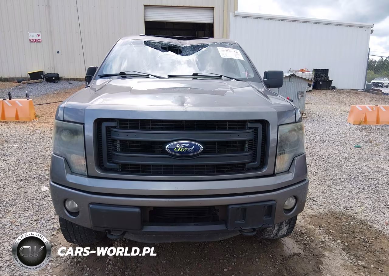 2013 Ford F-150 Fx4-King Ranch-Lariat-Limited-Platinum-Xl-Xlt VIN:1FTFW1ET7DKG40279 - 12
