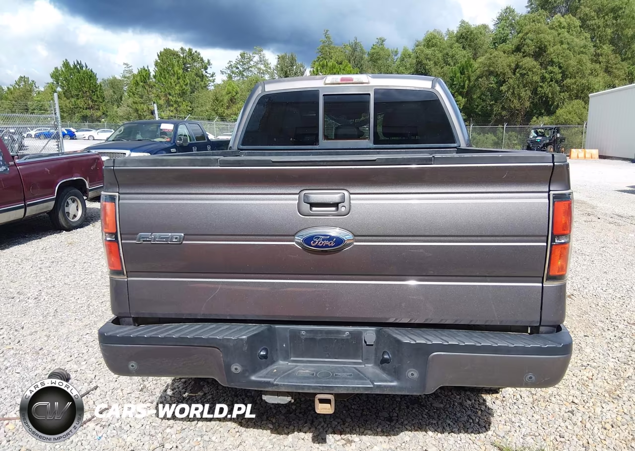 2013 Ford F-150 Fx4-King Ranch-Lariat-Limited-Platinum-Xl-Xlt VIN:1FTFW1ET7DKG40279 - 16