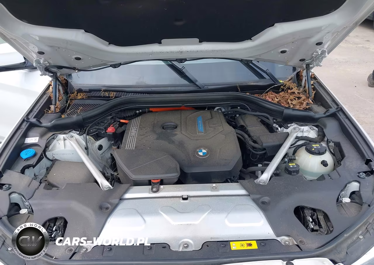 2021 BMW X3 Phev xDrive30E VIN:5UXTS1C00M9H70341 - 10