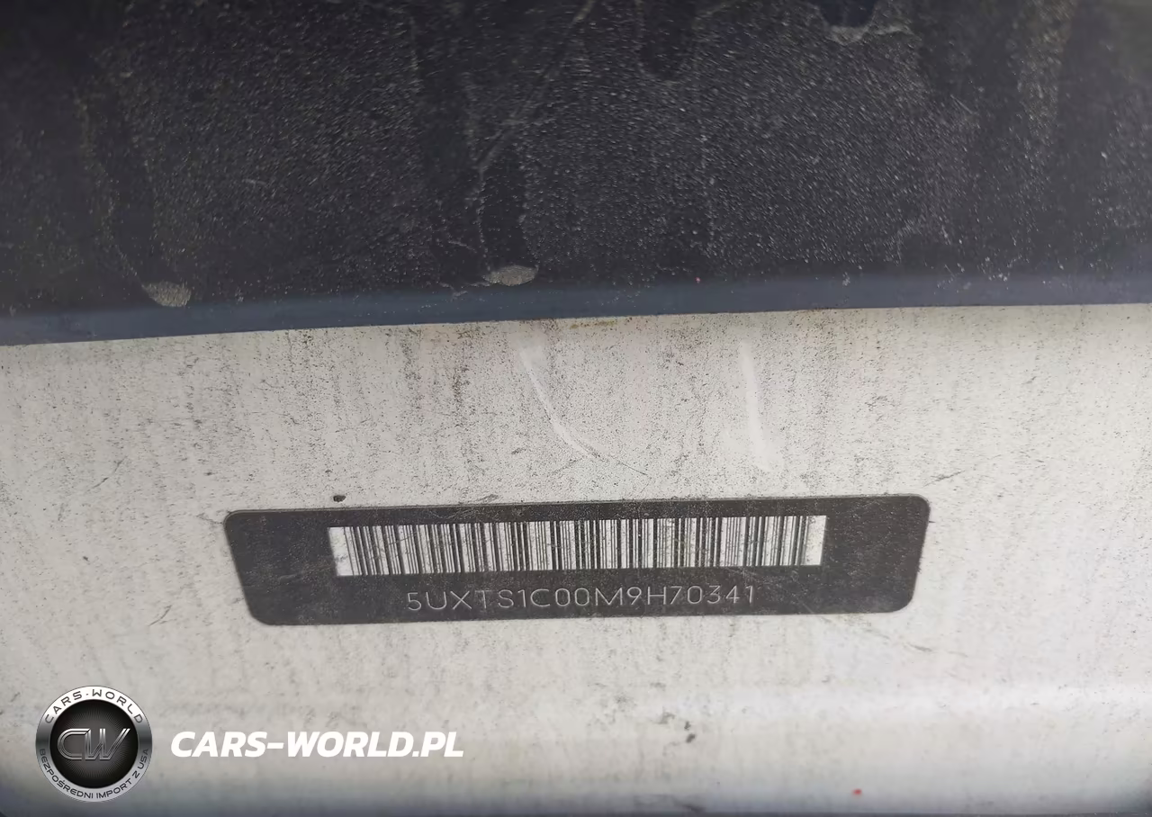 2021 BMW X3 Phev xDrive30E VIN:5UXTS1C00M9H70341 - 17