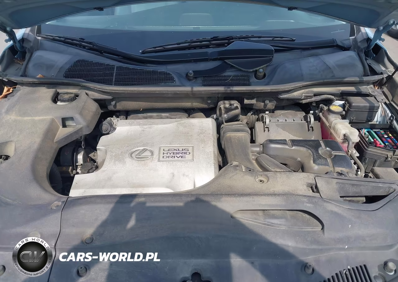 2010 Lexus Rx 450H VIN:JTJZB1BAXA2004282 - 10