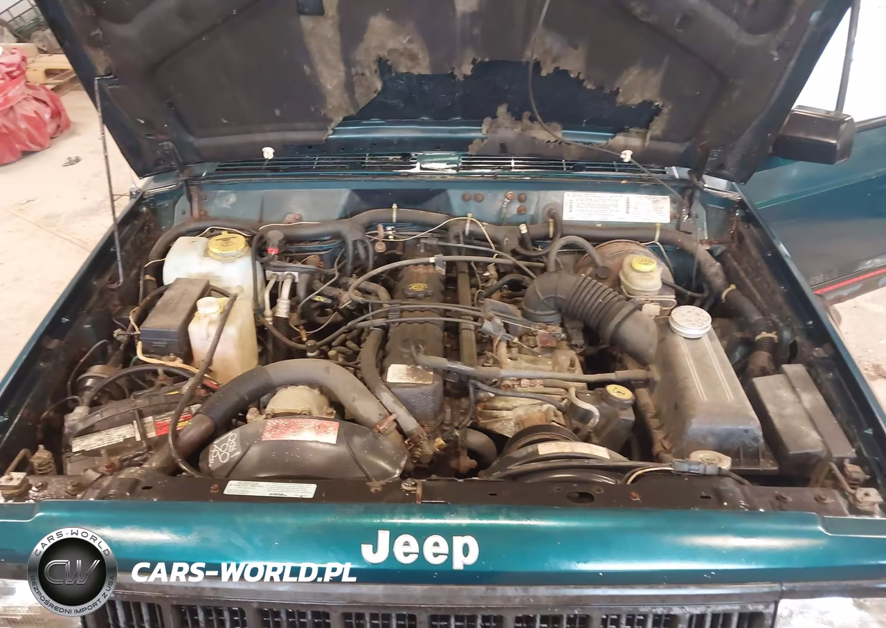 1996 Jeep Cherokee Sport-Classic VIN:1J4FJ68S4TL192794 - 10