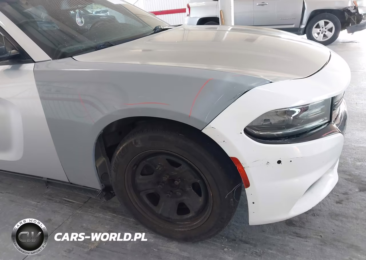 2016 Dodge Charger Police VIN:2C3CDXAT9GH262614 - 6
