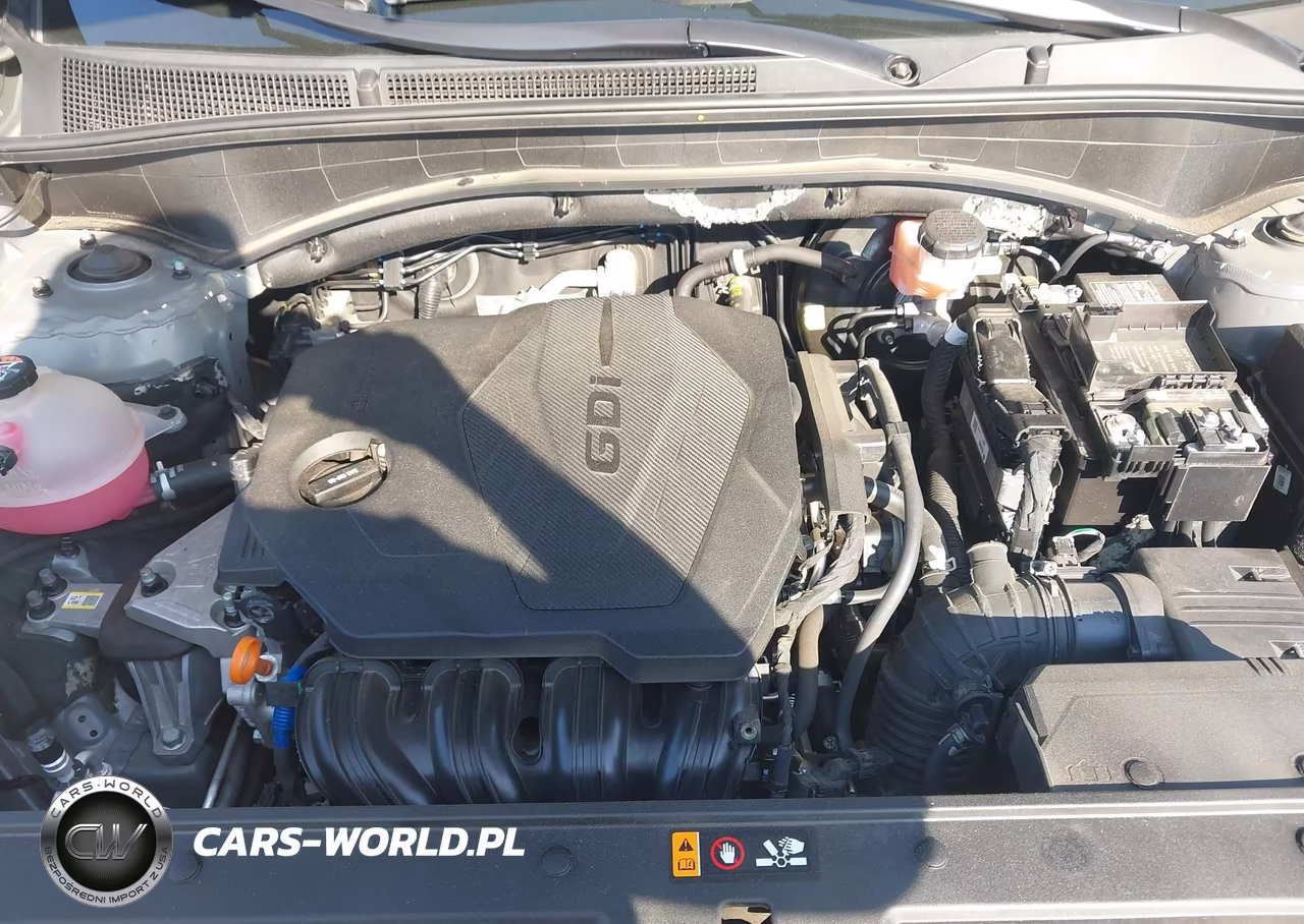 2023 Hyundai Santa Fe Sel VIN:5NMS2DAJ4PH488073 - 10