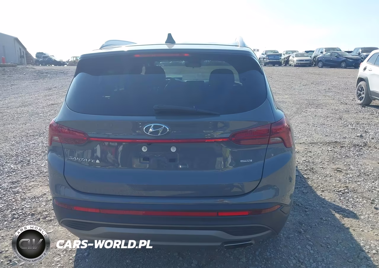 2023 Hyundai Santa Fe Sel VIN:5NMS2DAJ4PH488073 - 17