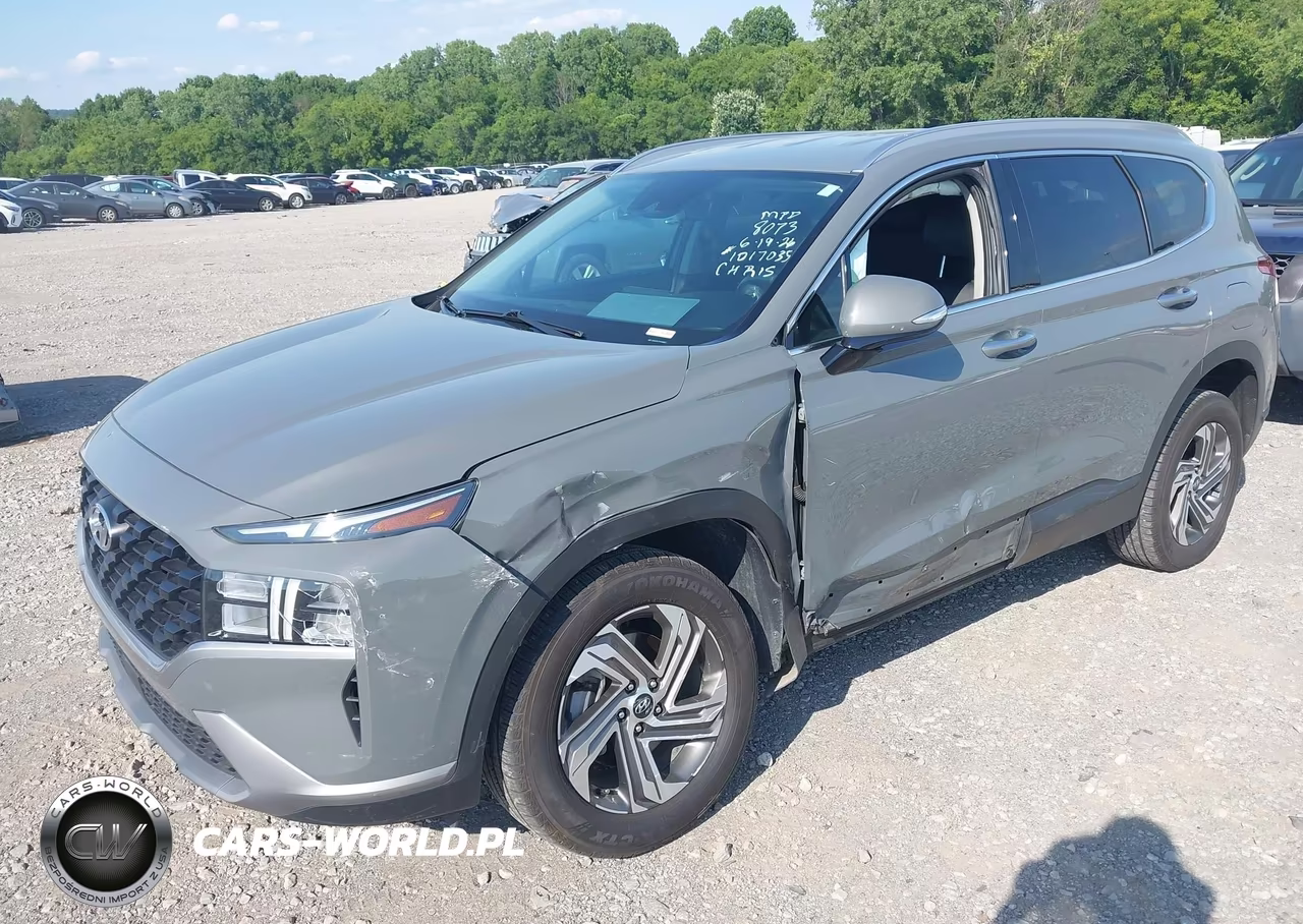 2023 Hyundai Santa Fe Sel VIN:5NMS2DAJ4PH488073 - 2