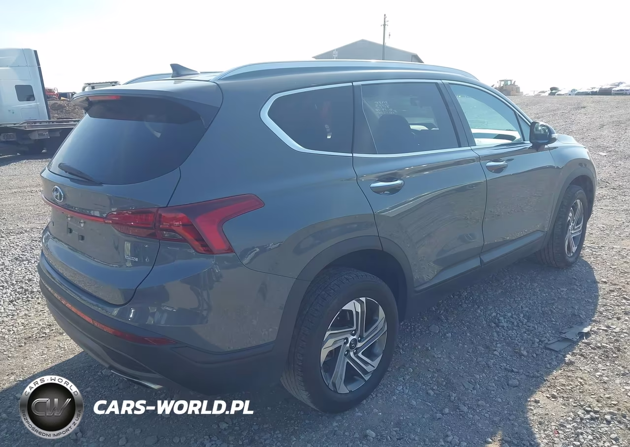 2023 Hyundai Santa Fe Sel VIN:5NMS2DAJ4PH488073 - 4