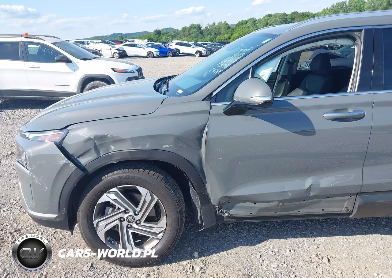 2023 Hyundai Santa Fe Sel VIN:5NMS2DAJ4PH488073 - 6