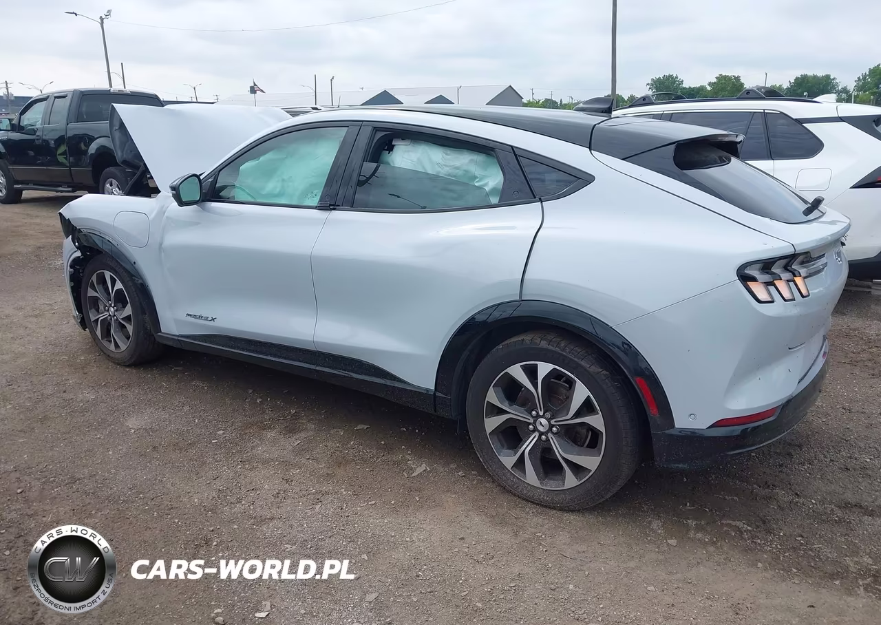 2021 Ford Mustang Mach-E Premium VIN:3FMTK3R75MMA43160 - 3