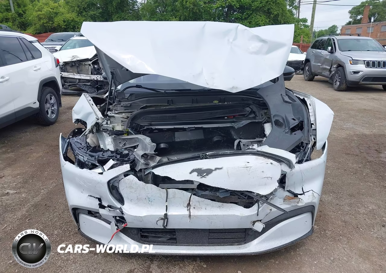 2021 Ford Mustang Mach-E Premium VIN:3FMTK3R75MMA43160 - 6