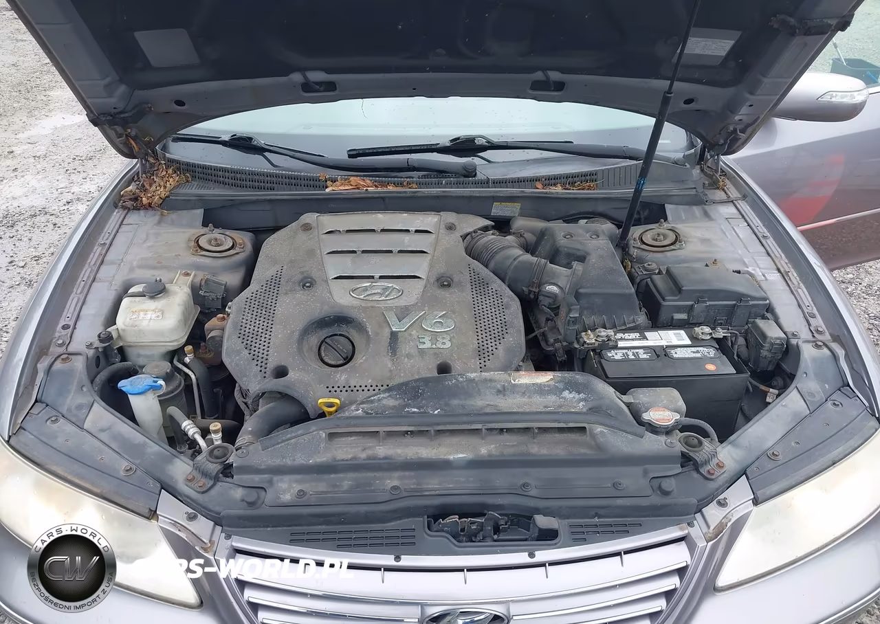 2008 Hyundai Azera Limited VIN:KMHFC46F78A290310 - 10