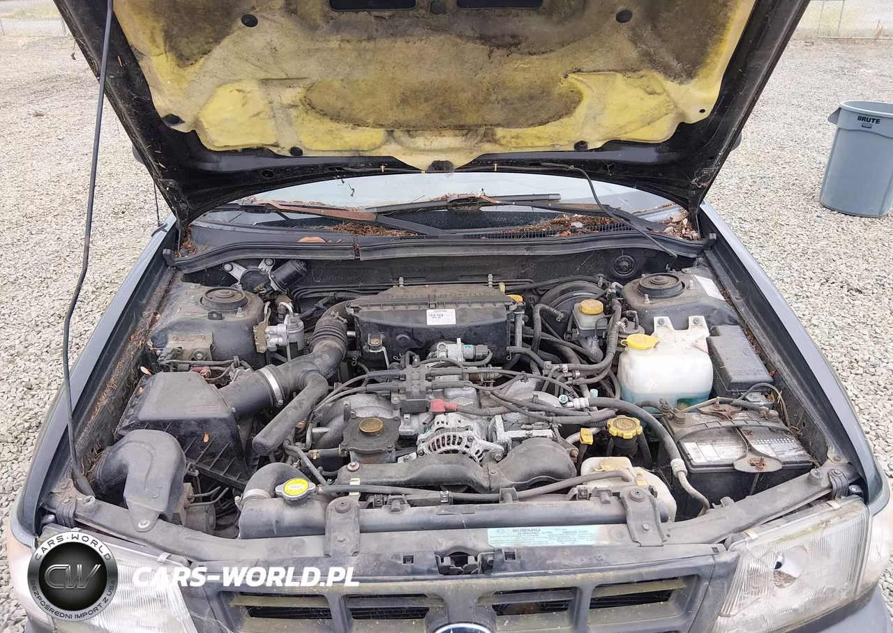 1999 Subaru Forester L VIN:JF1SF6356XG741021 - 10