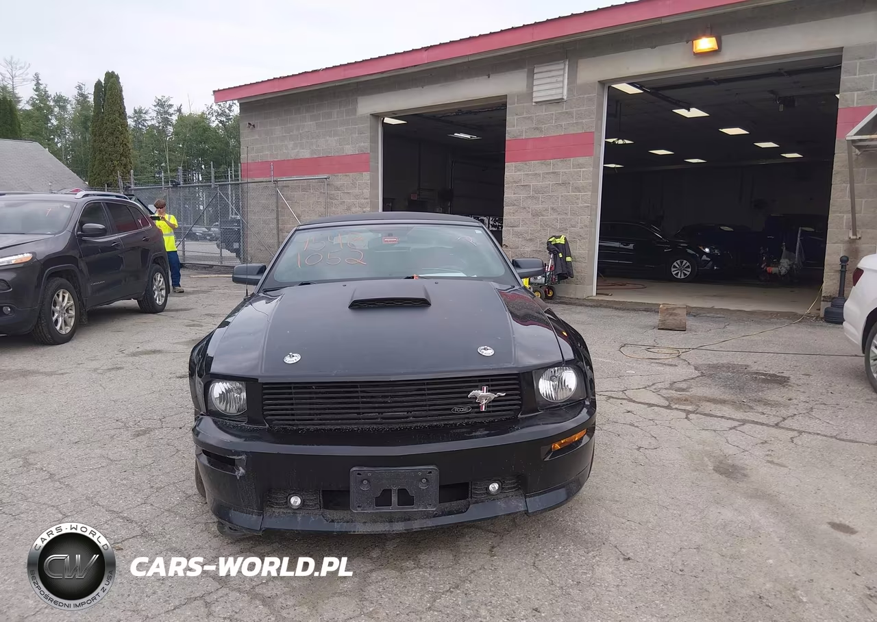 2009 Ford Mustang Gt-Gt Premium VIN:1ZVHT85H295106888 - 12