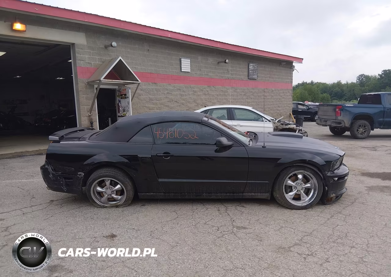 2009 Ford Mustang Gt-Gt Premium VIN:1ZVHT85H295106888 - 13
