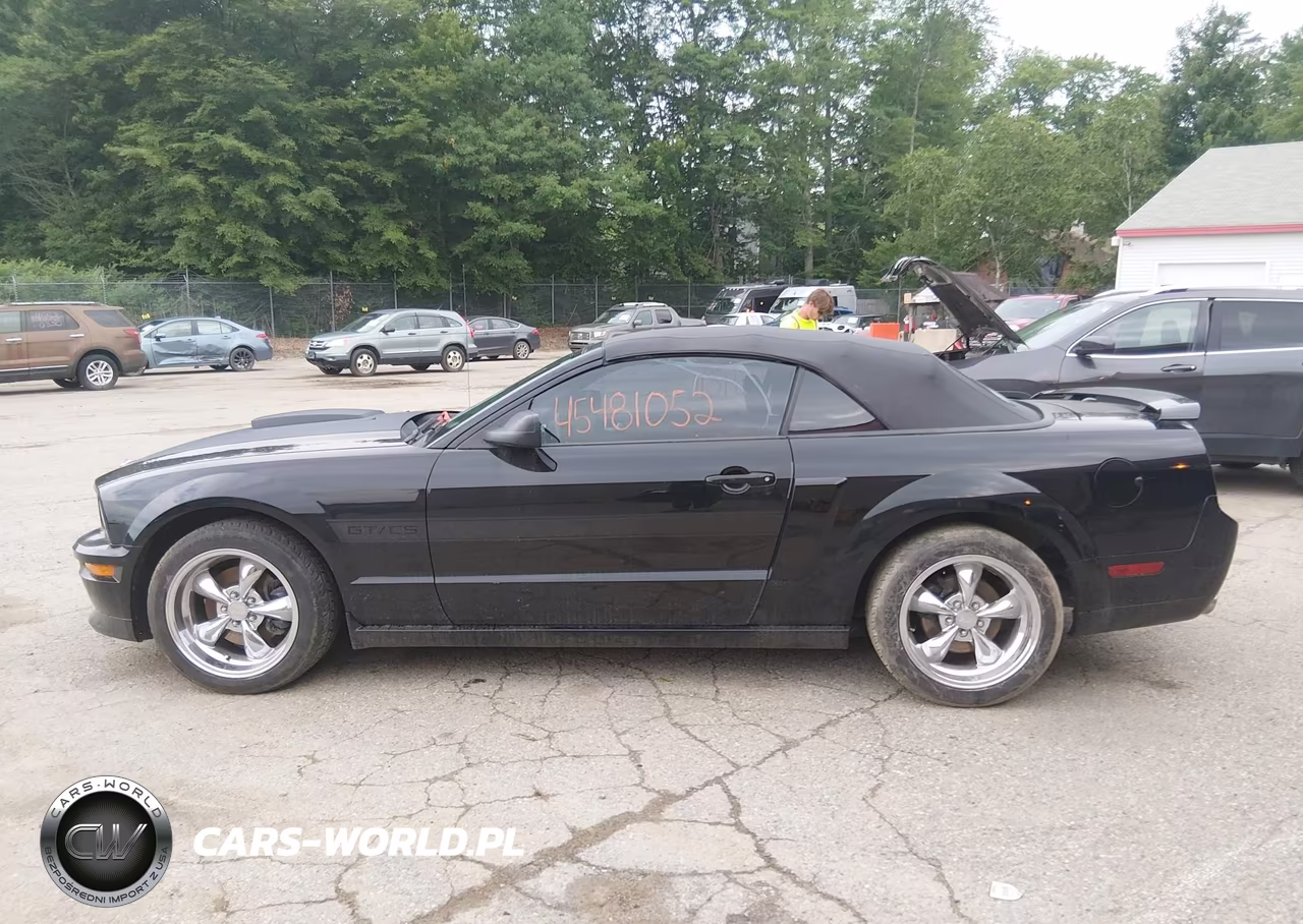 2009 Ford Mustang Gt-Gt Premium VIN:1ZVHT85H295106888 - 14