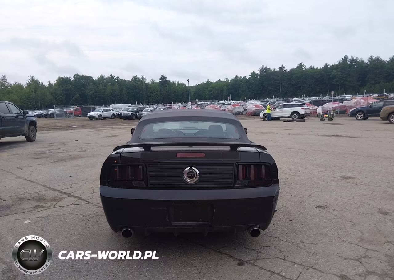 2009 Ford Mustang Gt-Gt Premium VIN:1ZVHT85H295106888 - 16