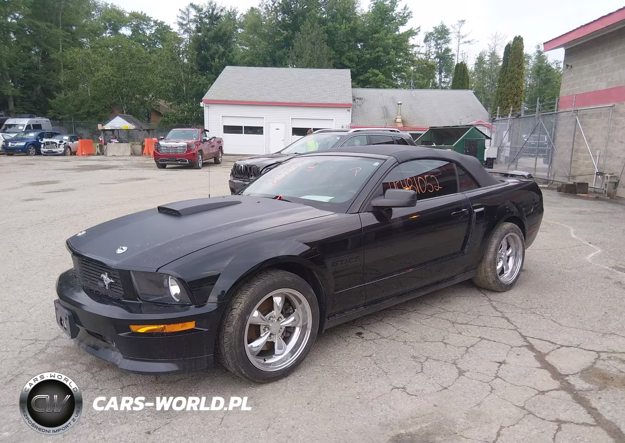 2009 Ford Mustang Gt-Gt Premium VIN:1ZVHT85H295106888 - 2