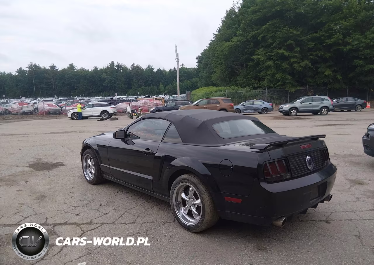 2009 Ford Mustang Gt-Gt Premium VIN:1ZVHT85H295106888 - 3