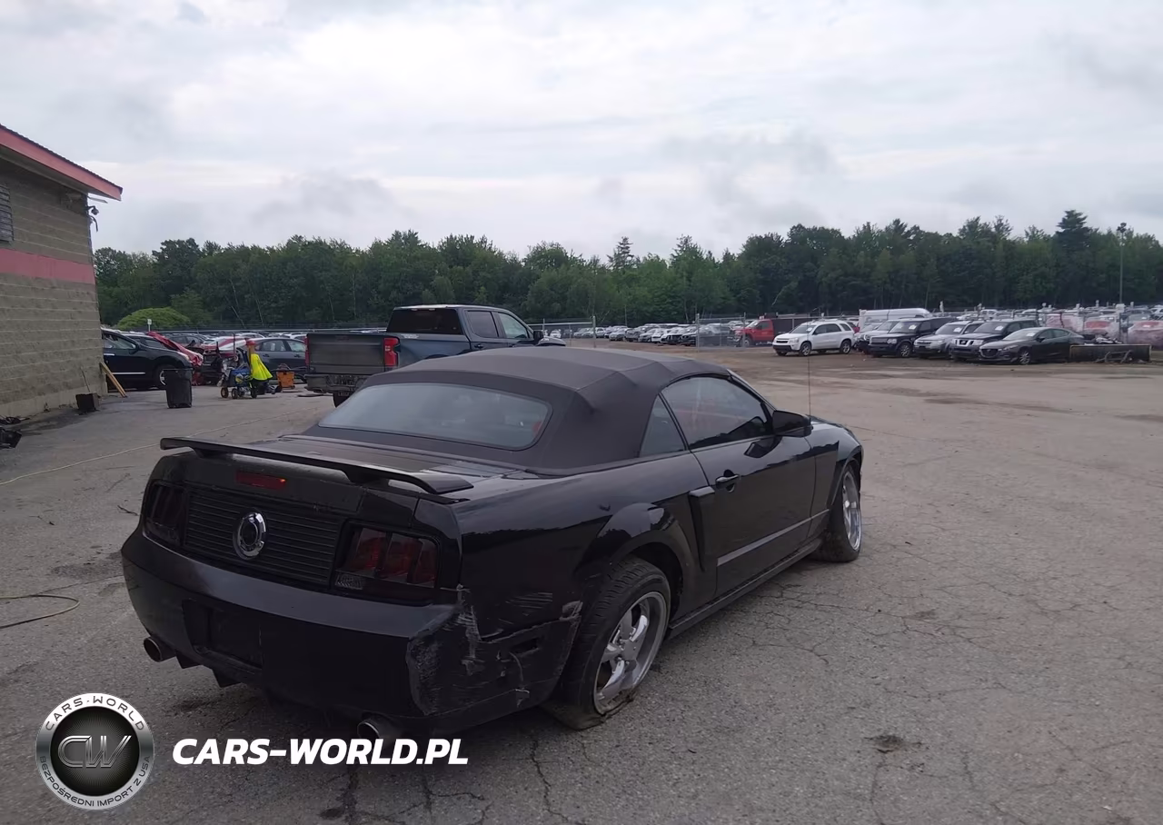 2009 Ford Mustang Gt-Gt Premium VIN:1ZVHT85H295106888 - 4