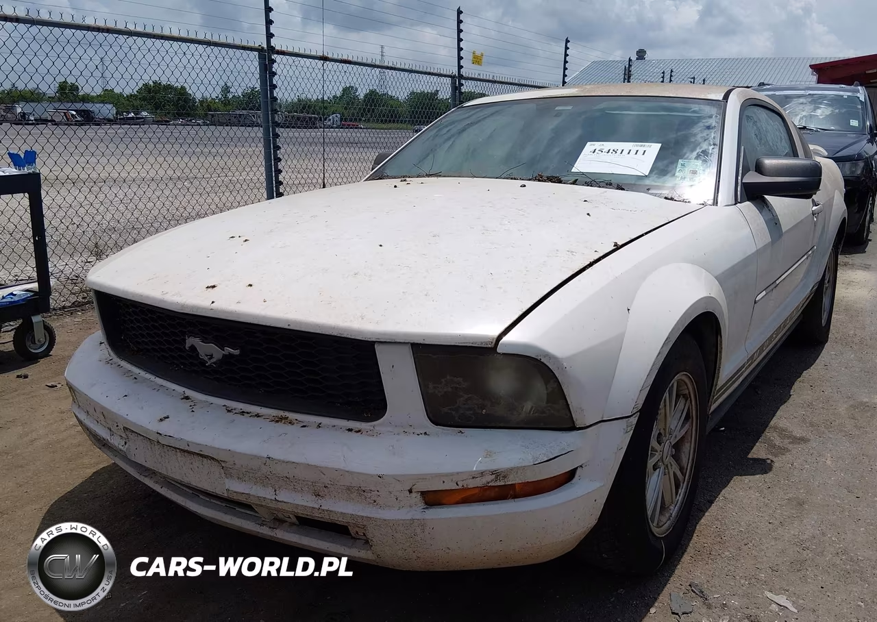 2005 Ford Mustang V6 Deluxe-V6 Premium VIN:1ZVFT80N255158939 - 2