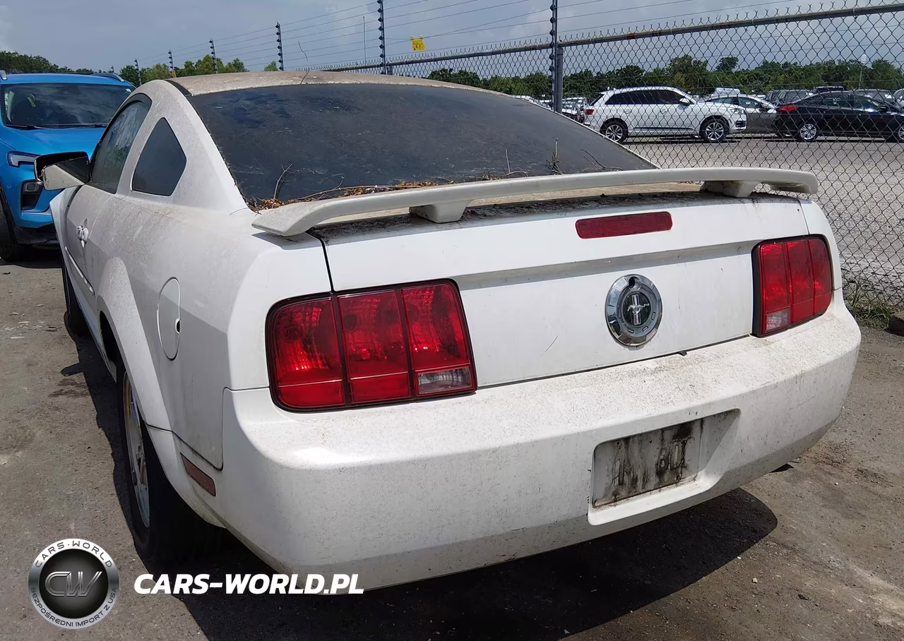 2005 Ford Mustang V6 Deluxe-V6 Premium VIN:1ZVFT80N255158939 - 3