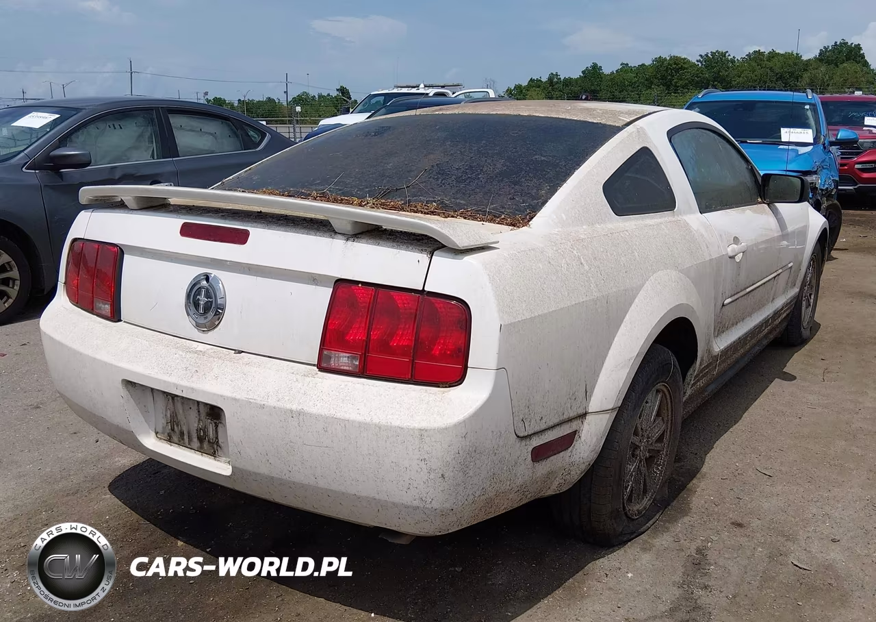 2005 Ford Mustang V6 Deluxe-V6 Premium VIN:1ZVFT80N255158939 - 4