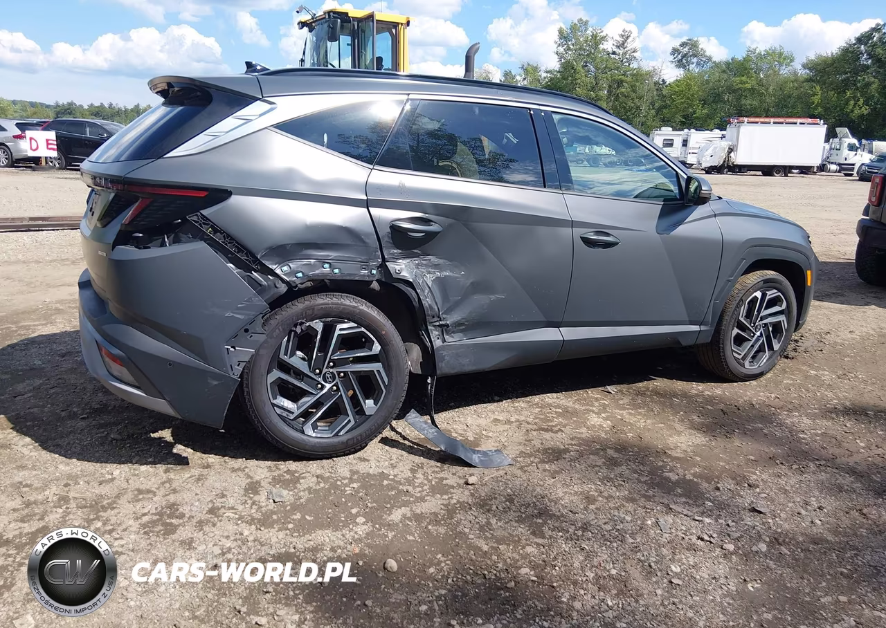 2025 Hyundai Tucson Limited VIN:5NMJECDE2SH575295 - 4