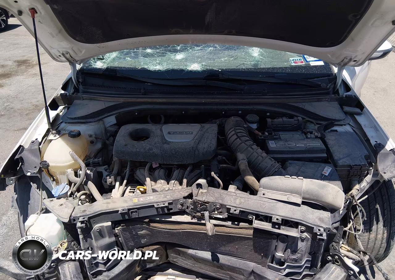 2020 Hyundai Elantra Sport VIN:KMHD04LBXLU012316 - 10
