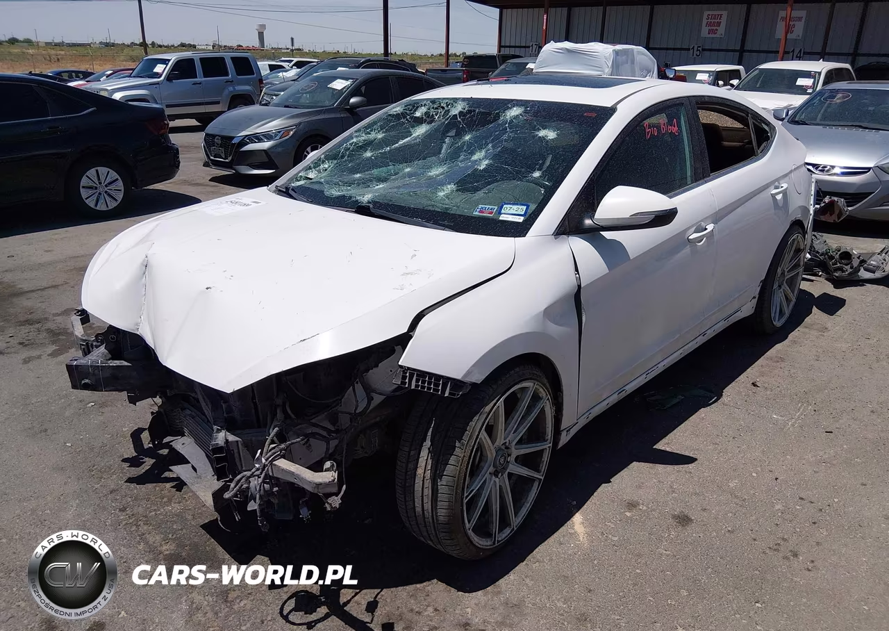 2020 Hyundai Elantra Sport VIN:KMHD04LBXLU012316 - 2