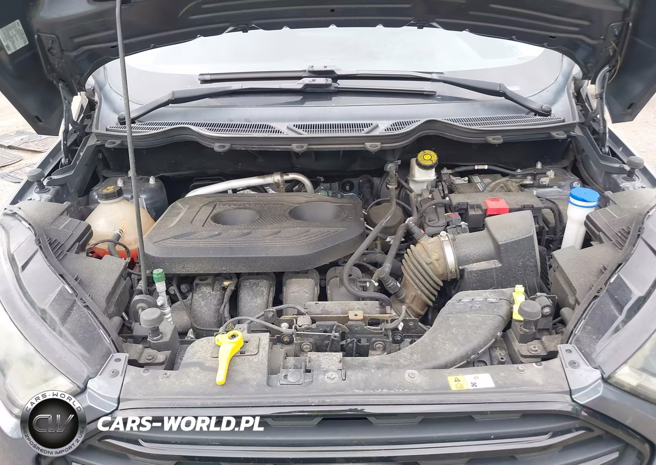 2019 Ford Ecosport Ses VIN:MAJ6S3JL1KC260137 - 10