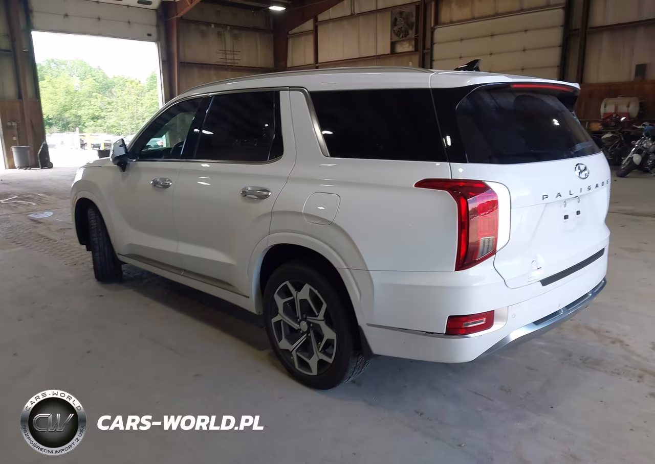 2022 Hyundai Palisade Calligraphy VIN:KM8R7DHE6NU344261 - 3