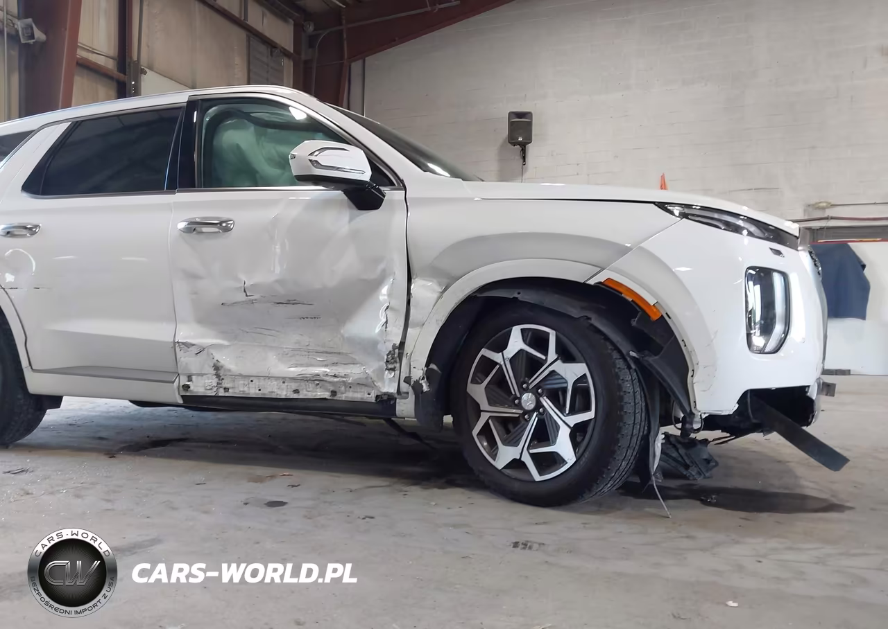 2022 Hyundai Palisade Calligraphy VIN:KM8R7DHE6NU344261 - 6