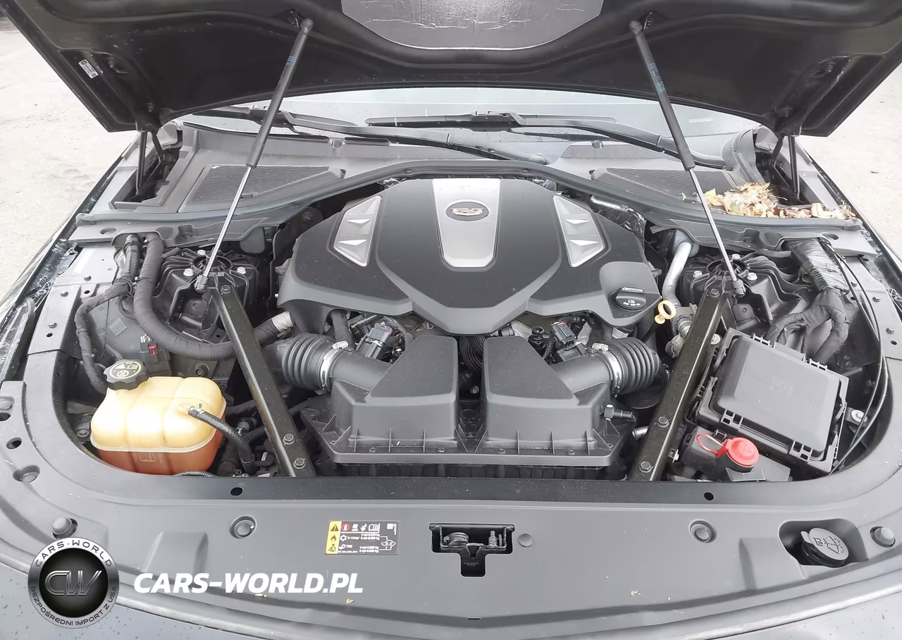 2019 Cadillac Ct6 Sport VIN:1G6KN5R61KU124243 - 10