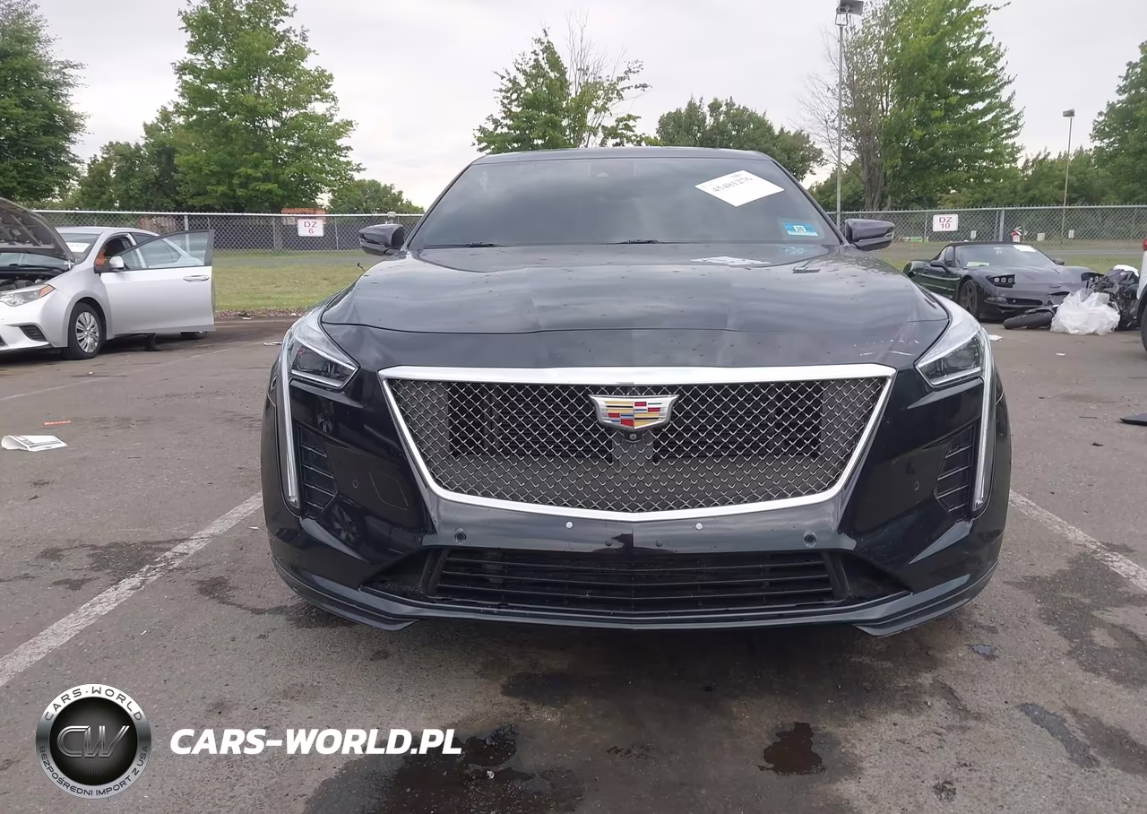 2019 Cadillac Ct6 Sport VIN:1G6KN5R61KU124243 - 12